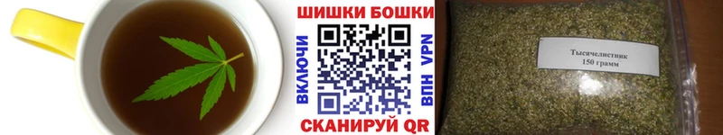 Canna-Cookies марихуана  как найти   Называевск 