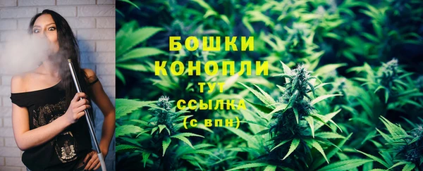 PSILOCYBIN Кондопога