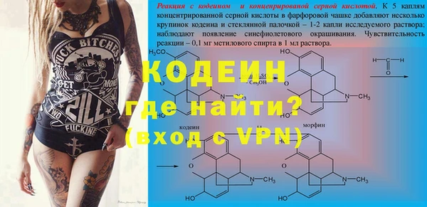 PSILOCYBIN Корсаков